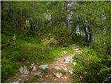 Panoramska restavracija Oben - Bistriška špica / Feistritzer Spitze